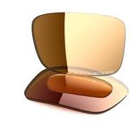 Oakley Crankcase Bronze Polarized 