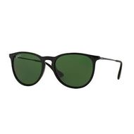 Ray Ban RB4171 Erika Polarized
