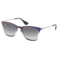 Ray Ban RB4221