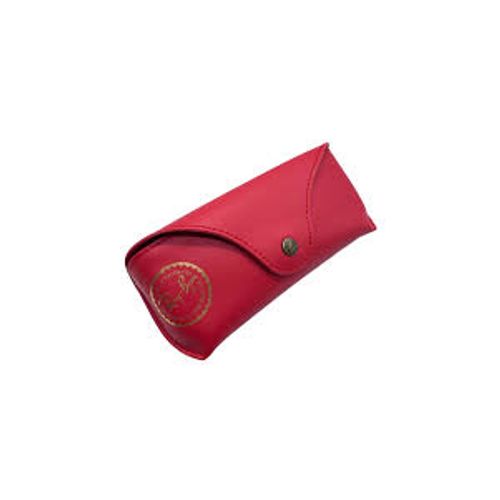 Ray Ban Case