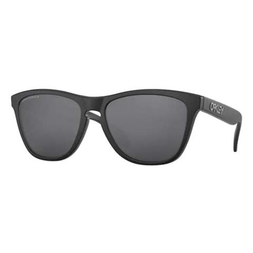 Oakley Frogskins Polarized