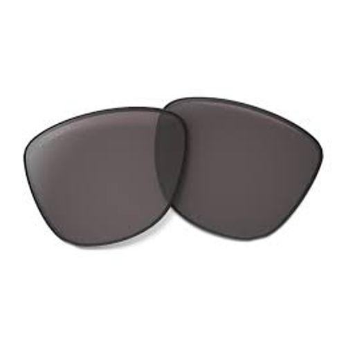 Oakley Frogskins Prizm Grey Polarized