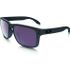 Oakley Holbrook Prizm Daily Polarized