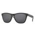 Oakley Frogskins Polarized