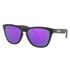 Oakley Frogskins 