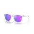 Oakley Frogskins 