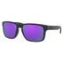 Oakley Holbrook