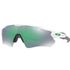 Oakley Radar EV Path