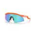 Oakley Hydra