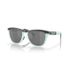 Oakley Frogskins Range 