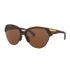 Oakley Trailing Point Polarized