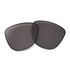 Oakley Frogskins Prizm Grey Polarized