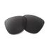 Oakley Frogskins Prizm Black Polarized