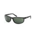 Ray Ban RB2027 Predator 2