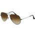 Ray Ban RB3025 Aviator 