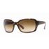 Ray Ban RB4068