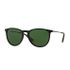 Ray Ban RB4171 Erika Polarized