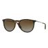 Ray Ban RB4171 Erika Polarized