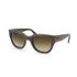 Ray Ban RB4178 