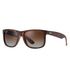 Ray Ban RB4165 Justin Polarized