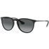 Ray Ban RB4171 Erika Polarized