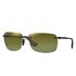 Ray Ban RB4255 Polarized