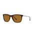 Ray Ban RB4344