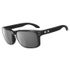 Oakley Holbrook Polarized
