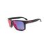 Oakley Holbrook