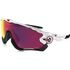 Oakley Jawbreaker Prizm